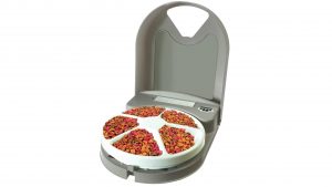 PetSafe Automatic Cat Feeder