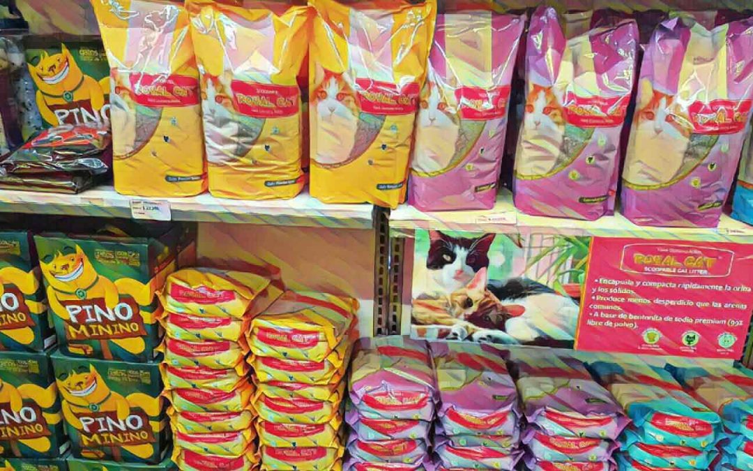 Best Cat Litter for Odor Control – Say Goodbye to that Nasty Kitty Box Smell