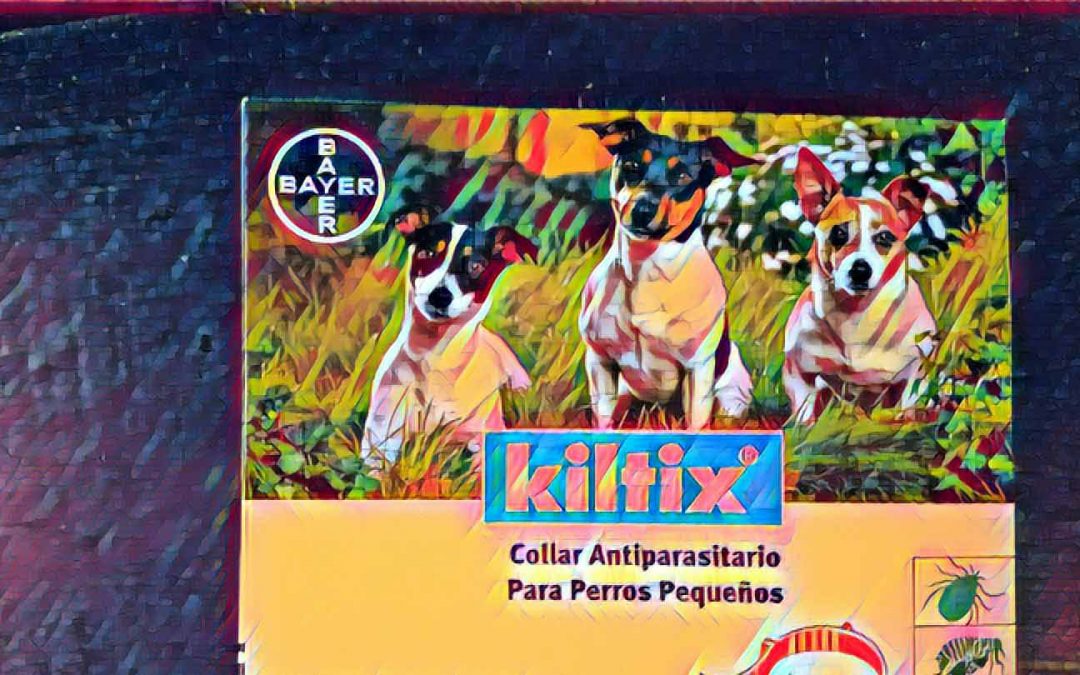 How Do Flea Collars Work? What You Need to Know
