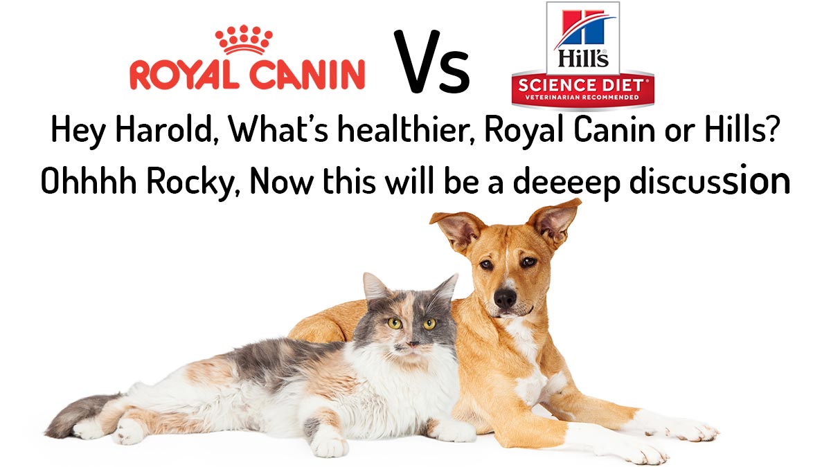 hills novel protein diet