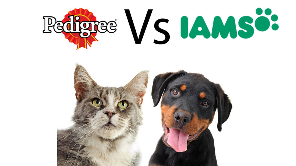 Pedigree vs Iams