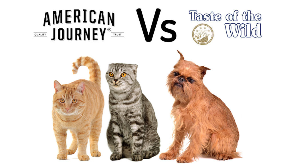 American Journey vs Taste of the wild