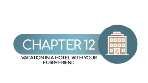 12 - Vacation in a Hotel with your furry friend (button)