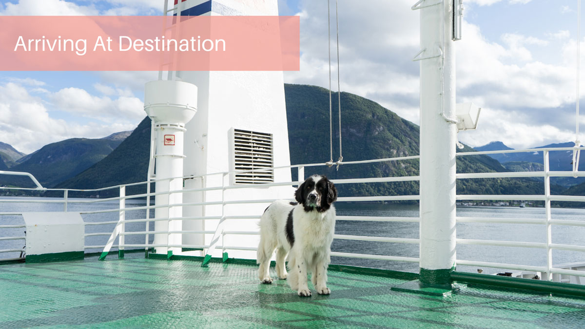 Arriving At Destination
