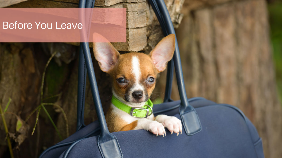 Before You Leave