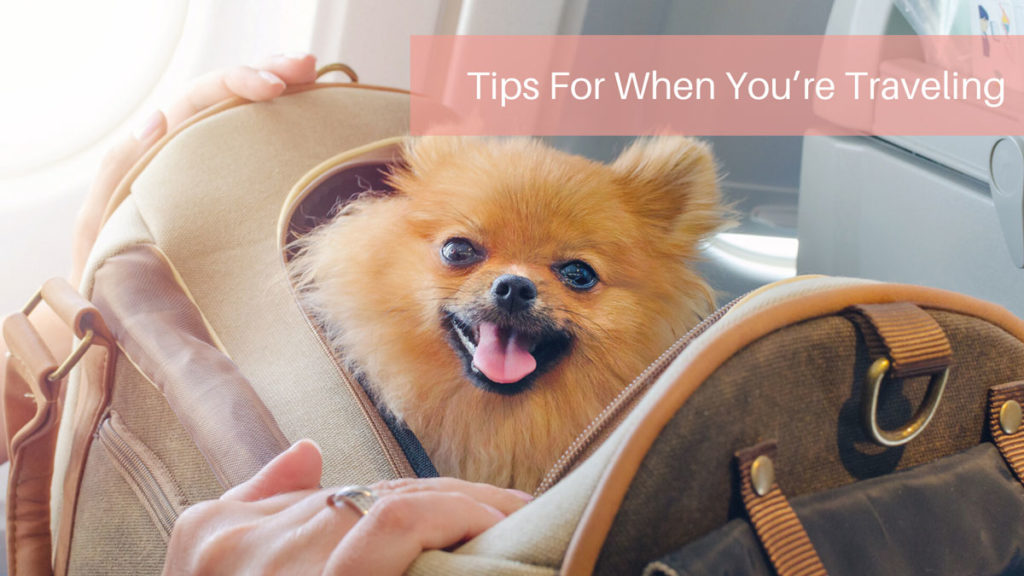 Tips For When You’re Traveling