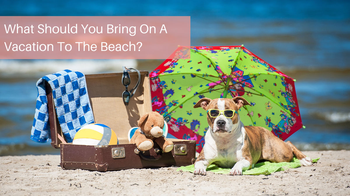 What Should You Bring On A Vacation To The Beach