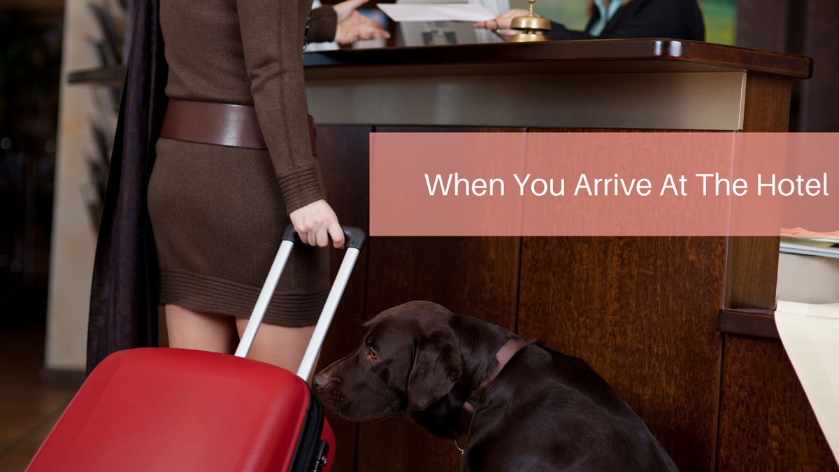 When You Arrive At The Hotel