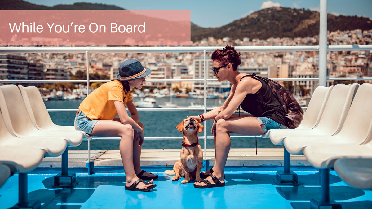 While You’re On Board